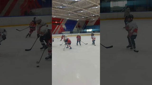 игра хоккей