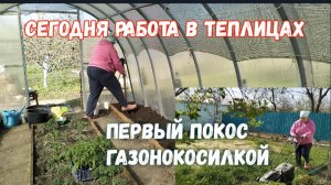 #2🌷15 апреля.Кручусь одна как могу/Целый день в теплицах)Первый покос травы газонокосилкой