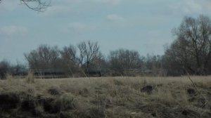 YAMAHA PAS NATURA после апгрэйда