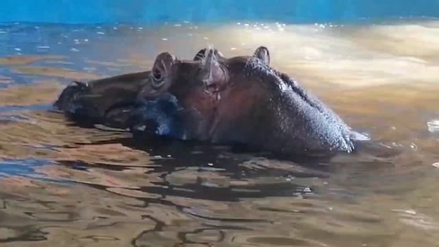 ФРИДА стала СМУГЛЯНКОЙ) Бахчисарайский парк миниатюр #паркминиатюр смотреть онлайн