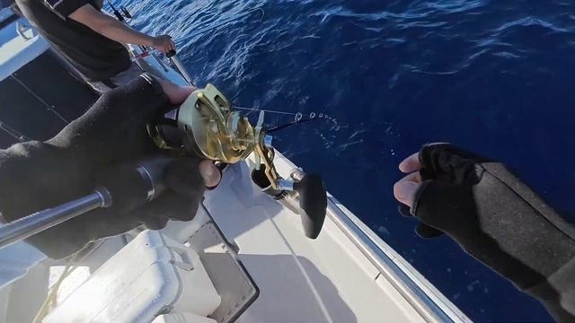 【ジギング】夏の沖の海はパラダイスだった