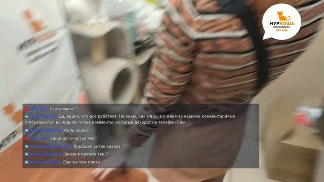 Трансляция - Ричард едет домой!