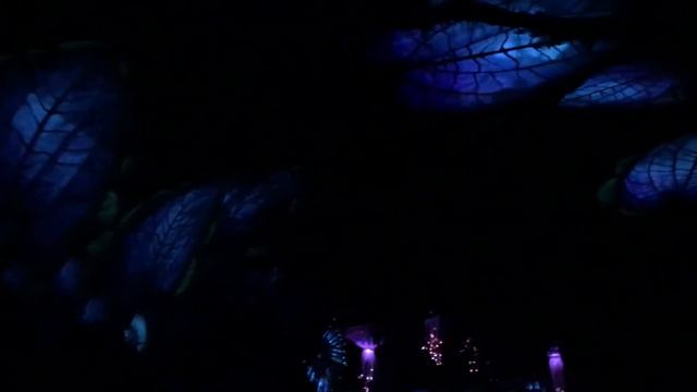 4K Pandora Avatar Disney смотреть онлайн