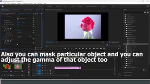 How to use Gamma Correction in Adobe Premiere Pro CC | #premierepro #tutorial #gammacorrection #edi