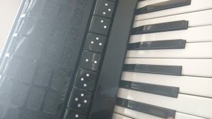 Под окном шумит рябина, Петр Сотник, песня под аккордеон, гармонь, цифры 89277382068