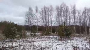 Pogoda v Sibiri Гуляю по живописным местам