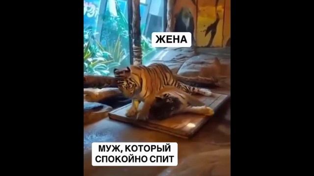Спокойной ночи.