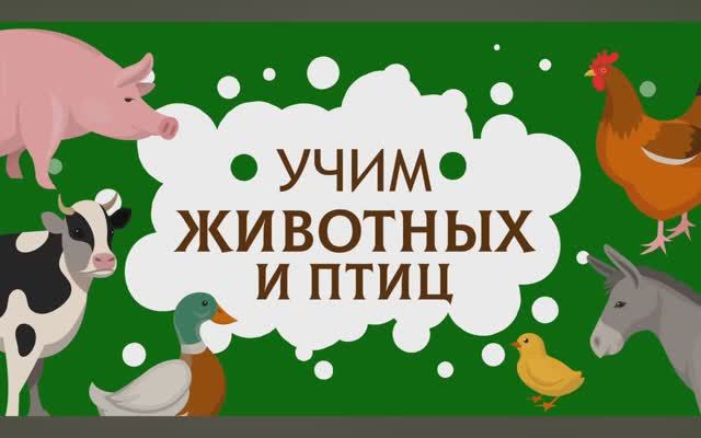 Карточки Домана. Животные и Птицы. Глобальное чтение. Учимся говорить.