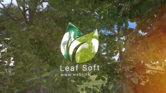 Summer Tries Logo | Adobe Premiere Pro Template смотреть онлайн