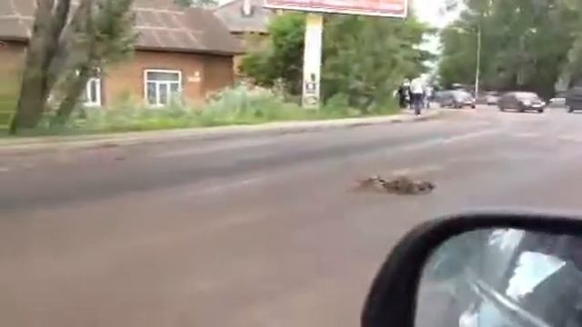 Утиная семейка смотреть онлайн