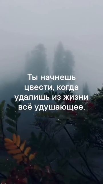 Согласны??