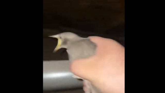 1000045502.mp4 смотреть онлайн