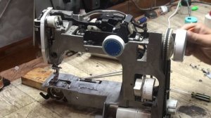 Китайский Веритас.....