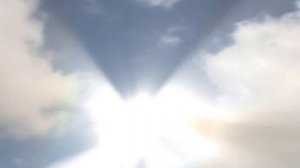 Футаж Голубь в небесах