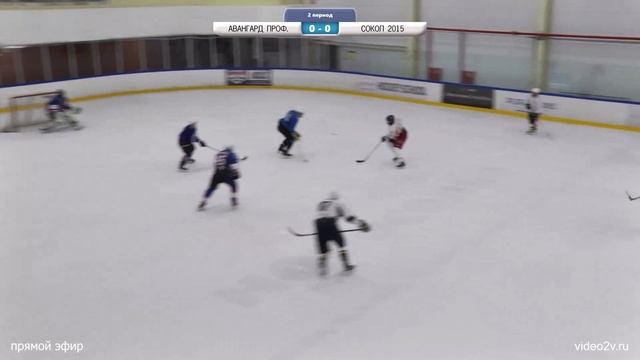 Онлайн трансляция СПбХЛ\ ХК Авангард Профилерс - ХК Сокол 2015 смотреть онлайн