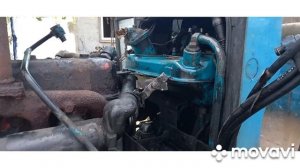 Посадили тыкву на навозе.