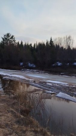 река Чукша/д.Чукша/Чунский Округ/Лёд тронулся/13/04/2025