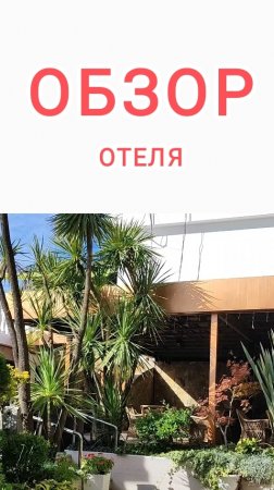обзор отеля