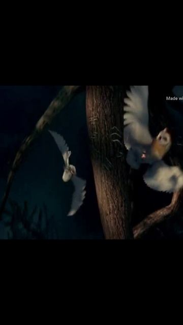 Это твой выбор! #shorts #owls #legendsofguardians смотреть онлайн