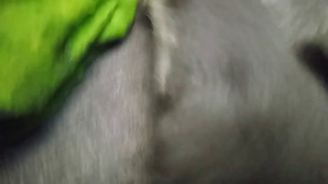 наш крыс! смотреть онлайн