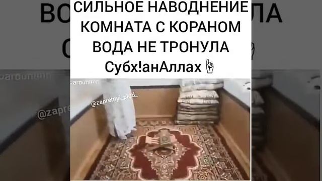 Факат курон китоби бор уйни сув босмаган смотреть онлайн