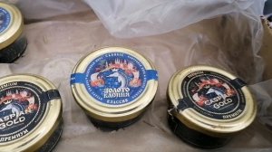 Как я зарабатываю лазая по мусоркам Питера Часть 83 #стрим #топовыйконтент # Штрэбух #конкурент