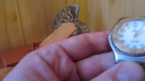 Обзор часов EBEL 1911