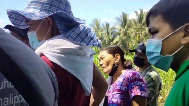 PAG INSTALL NG PHEROMONE LURE ||REKOMENDADONG KEMIKAL PARA SA FALL ARMYWORM || Jayson AgriMixTv смотреть онлайн