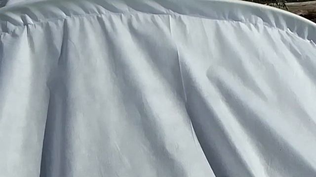 о муравьях , пионах, парнике