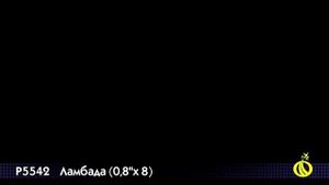 р5542