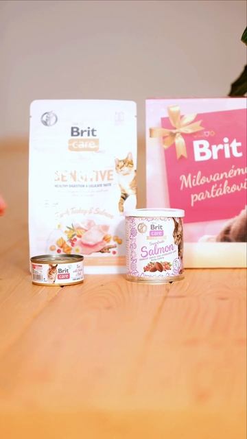 Brit Valentýnský Box Cat смотреть онлайн