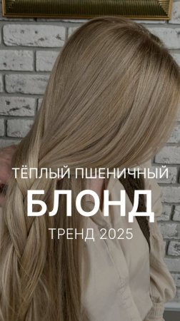 ✨ Теплый пшеничный блонд. ТРЕНД 2025✨