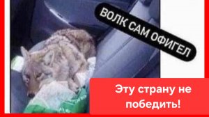 Эту страну не победить!😄💪