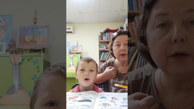 Длительная работа . Неговорящий в 3.5 года ребенок .