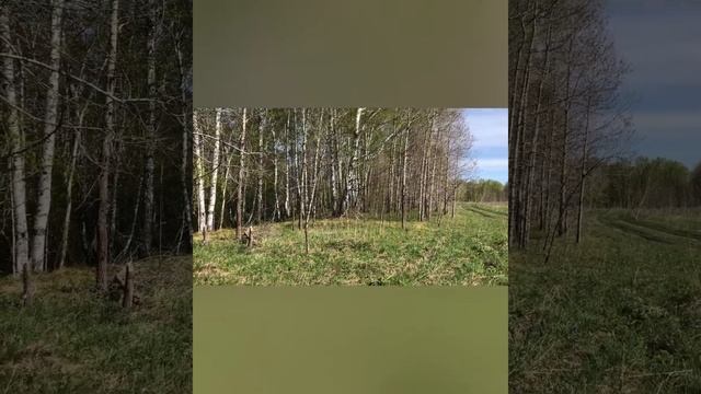 Уборка во имя Матери Земли смотреть онлайн