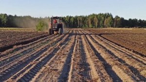 ОРАНКА, ПАХОТА НА МТЗ 892, ТРАКТОР БЕЛАРУС (Плуг ПЛН-3-35)