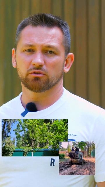 Фоновые посадки в саду: дёрены, клены и горные сосны #shorts #ландшафтныйдизайн #обзор смотреть онлайн