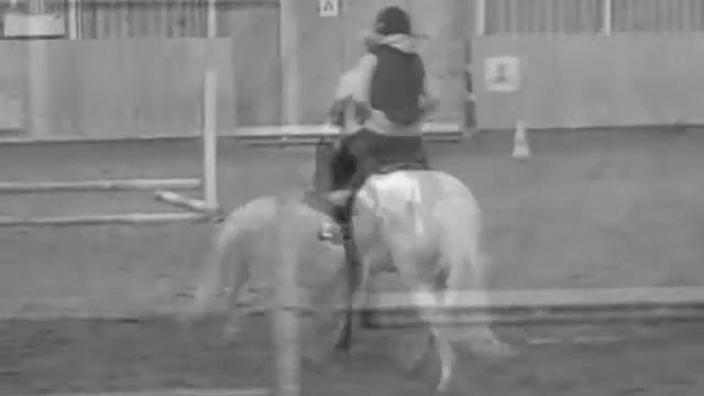 R.I.P Hani смотреть онлайн