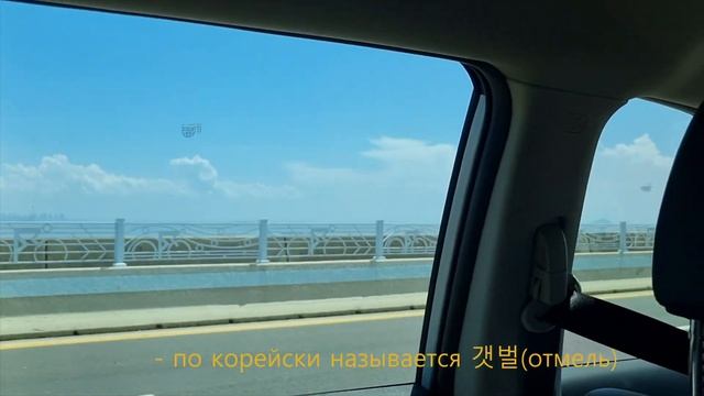 Корейский остров Ёнчондо: Летний влог с питомцем 🌺 Невероятные приключения