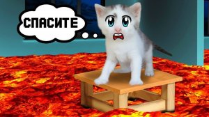 Кот МАЛЫШ и Кошка МУРКА | ЧЕЛЛЕНДЖ : НАЙДИ КОЛБАСКУ + ПОЛ ЭТО ЛАВА | А ну-ка давай-ка