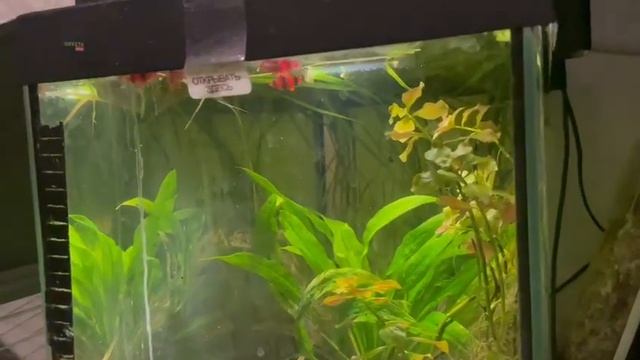 14 января 2024 г. смотреть онлайн