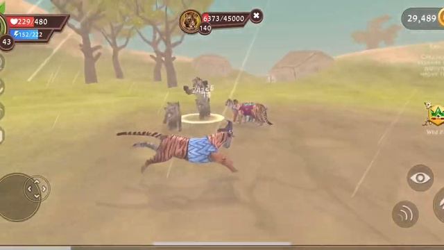 Убил тигра или льва смотреть онлайн