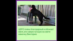 С Днём рождения, ЦЕРО ФОМ РУССИШЕН ХОФ
