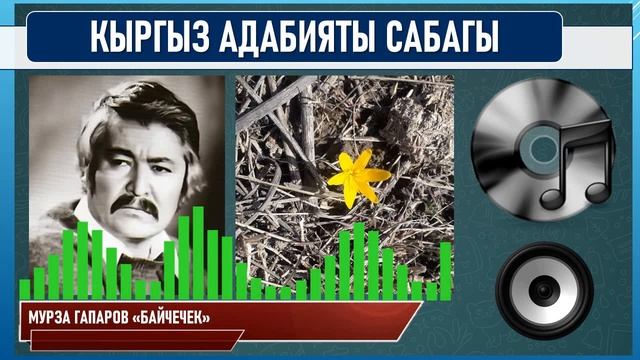 КЫРГЫЗ АДАБИЯТЫ ǀ 8-КЛАСС ǀ ТЕМА: МУРЗА ГАПАРОВ БАЙЧЕЧЕКЕЙ ǀ ОНЛАЙН САБАК ǀ ВИДЕО САБАК