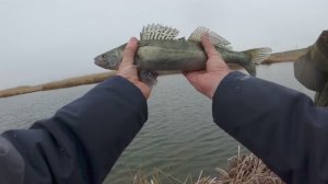 2025.04.12 Река Миус. Берег. Спиннинг