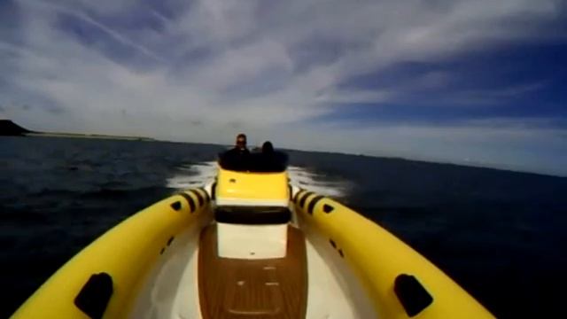 Monkey Nutz Multi Cam смотреть онлайн