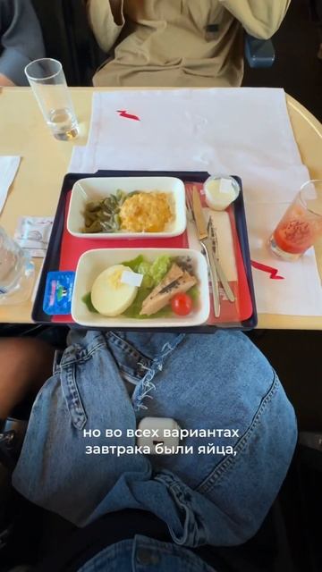 Стоит ли 30к БИЗНЕС-КЛАСС Сапсана?#поезд #сапсан #поездароссии #обзоры #путешествие