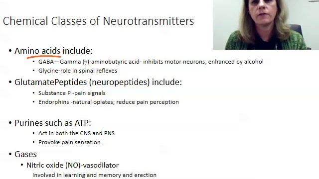 Synapses and neurotransmitters смотреть онлайн