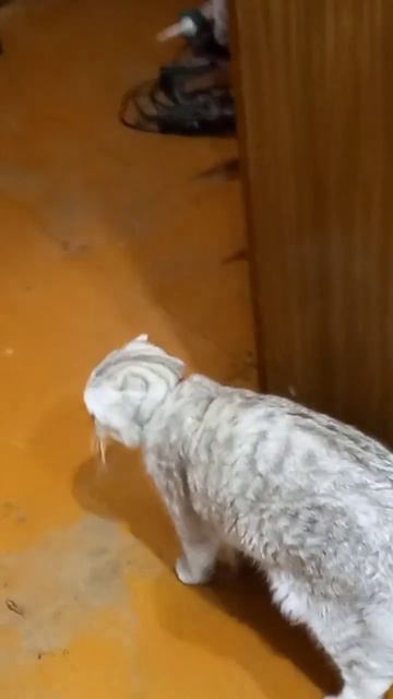 Не понимаю