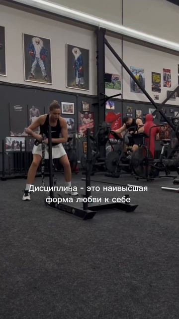 Дисциплина